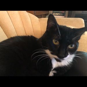 Meet your Posher, Cindy